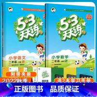 语文+数学 小学二年级 [正版]人教版53天天练二年级上册语文数学全套人教版同步练习册小学二年级上册语文数学书试卷同步训