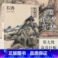 [正版]原大级高清完整 中国好丹青·大师册页精品-石涛山水画册原作尺寸 苦瓜和尚画语录国画临摹画册自学零基础入门 收藏