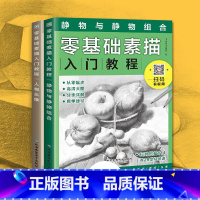 [正版]赠视频零基础素描入门教程2本 飞乐鸟著素描书入门自学零基础敲门砖静物 人物头像 石膏几何体铅笔素描自学教程书籍