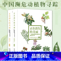 [正版]正在消失的美丽(全2册)中国濒危动植物寻踪 生物生态博物科普图书植物卷+动物卷多样性全景展示动植物全彩插图