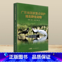 [正版]广东省国家重点保护陆生动物 普及珍稀濒危动物知识 精装全彩印刷 高清动物图照