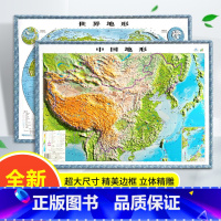 [正版]2022新版 中国地图世界地图两张 3D地图立体地形套装 中号60x43cm 精美边框 立体精雕 书房客厅教室