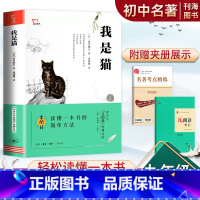 我是猫 [正版]我是猫课外阅读九年级下册书中学生阅读经典文学小说世界名著图书籍夏目濑石日本文学名著小说初高中生元阅读课外