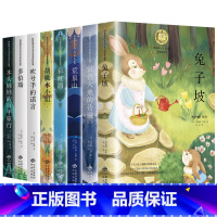 纽伯瑞儿童文学奖金奖作品集(全8册) [正版]纽伯瑞国际儿童文学金奖小说系列全套8册小学生三四五六七年级课外书