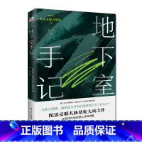 [正版]地下室手记陀思妥耶夫斯基长篇小说 世界文学经典名著俄国文学书籍