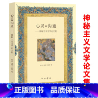 [正版]心灵之沟通——神秘主义文学论文集 神秘主义外国文学论文集苏菲主义神秘文学研究书籍