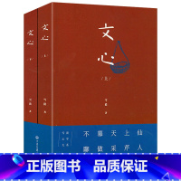 [正版]800余页文心:雪漠心学大系(全2册)雪漠心学的“文学妙用” 叩问文学的精神品格 聚焦作家的人格修养书籍