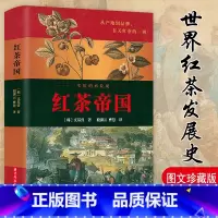 [正版]红茶帝国 有关红茶的红茶史红茶文化红茶之书茶叶与帝国书籍茶叶与帝国茶叶战争茶叶密码普洱帝国