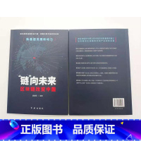 [正版]2021新版 “链”向未来区块链改变中国 新基建发展新动力 凌发明编著 红旗出版社