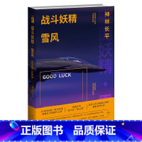 [正版] 战斗妖精雪风GOOD LUCK 神林长平著 日本SF大会星云赏《战斗妖精•雪风》续作 新星出版社科幻小说