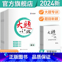 语文 新高考 [正版]2024版金太阳教育 2023版大题小做高考语文数学英语物理化学生物历史地理政治文理 高中高三高考