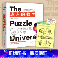 [正版]迷人的数学:315个烧脑游戏玩通数学史2021新版315个经典游戏开发大脑潜能玩通数学史大脑游戏数学思维训练一