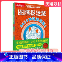 [正版]图画捉迷藏 2023 神奇透视版 全2册 益智游戏 互动游戏 视觉大发现 北京科学技术