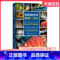 [正版]海蛞蝓图鉴 珊瑚三角区 科普 水下摄影 生物 海蛞蝓 北京科学技术