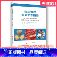 [正版]临床病理大体形态图谱 15所中美高校强强联合 10余年大体病理诊断经验积累 优选近2000张精美图片 助力提