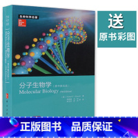 [正版]送原书彩图分子生物学(原书第五版)第5版 生命科学名著Robert F. Weaver著 978703036