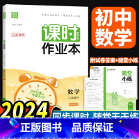 [正版]2024春通城学典课时作业本苏科版八年级数学下册江苏版 随堂天天练8年级初二数学下学期同步课堂作业本知识比刷题