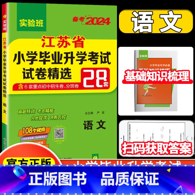 [正版]2024小升初春雨48套考必胜 江苏省小学毕业升学考试试卷精选28套卷语文人教版小学生同步练习六年级升初中冲刺