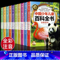 [彩图注音]中国少年儿童百科全书 全10册 [正版]全套10册彩图注音版青少年儿童百科全书十万个为什么书军事武器百科世界