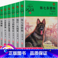 [正版]后一头战象第七条猎狗猎犬狼狗猪狗 全套6册沈石溪动物小说系列 保姆莽三四五六年级阅读课外书必读的书籍6-12岁