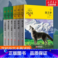 [全套6册]沈石溪动物小说品藏书系升级版 [正版]动物小说大王沈石溪品藏书系升级版全套6册:狼王梦+斑羚飞渡+雪豹悲歌+