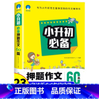 小升初押题作文 小学升初中 [正版]2023年小升初押题作文人教版 小学生六年级下册语文专项练习作文满分大全好开头结