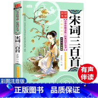 [彩图注音]宋词三百首 [正版]国学经典诵读启蒙 宋词三百首 注音版大字彩图版有声伴读书籍 中国诗词大会书可搭诗经唐诗三