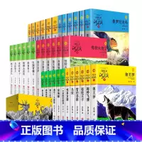 [任选5册]动物小说(留言备注) [正版]兵猴传奇 沈石溪动物小说品藏书系升级版 小学生课外阅读书籍6-7-8-9-12