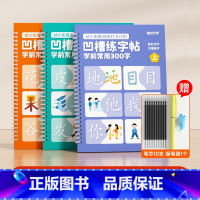 [时光学]凹槽练字帖学前常用300字(全3册)+消失笔 [正版]儿童凹槽设计练字贴幼小衔接幼儿园宝宝控笔训练孩子练字笔0