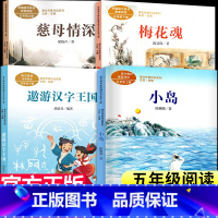 4册人民教育出版社 [正版]五年级下册读的课外书上册全套4册 小岛书 梅花魂 遨游汉字王国 梁晓声慈母情深 语文配套小学