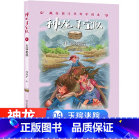 [正版]神龙寻宝队4玉琮迷踪漫游中国历史谷清平汤小团藏在国宝里的故事书冒险童话消失的国宝穿越小学生四五六年级课外书读