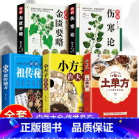 [全5册]土单方+伤赛论+金匮要略 [正版]全3册土单方+小方子治大病+民间祖传秘方 民间实用张至顺道长土单方草药书三册