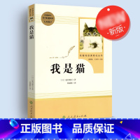 课外阅读--我是猫 [正版]楷书行书2500字强化训练 学得快钢笔书法楷书行书字帖 箴言妙语系列钢笔字帖 非写不可庄子选