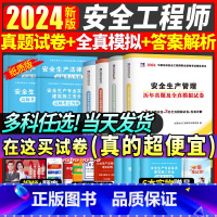 [正版]新版2024年中级注册安全师工程师历年真题试卷2023全真模试注安师考试押题库习题集其他化工建筑煤矿山金属冶炼