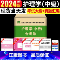 [正版]2024新版护理学中级 主管护师金考卷 全国卫生专业技术资格考试辅导用书全真模拟+考点突破+考前密押试卷+题库