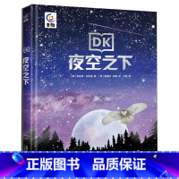 DK夜空之下 [正版]DK夜空之下 5-7岁亲子阅读大百科 8-10岁自主阅读儿童趣味天文百科全书 dk儿童百科全书