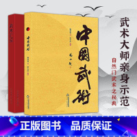 [正版]2册中国武术书籍中国武术+ 武术汇宗太极拳等养生保健书体育运动书籍健身气功全书POD