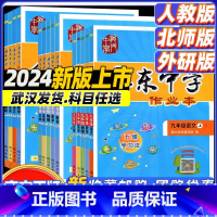 人教版[语数英物化] 九年级下 [正版]2024新启东中学七7八8九9年级语文数学英语物理化学初一初二初三启东中学作业本