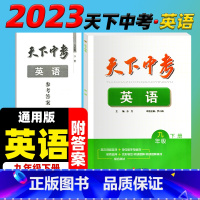 天下中考英语 九年级下 [正版]2023天下中考英语九9年级下册英语英汉词组互译+单句首字母填词+单项选择+完形填空/阅