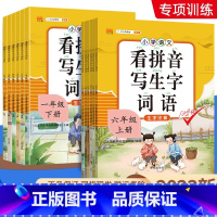 4本:看拼音+阅读+字帖+口算 一年级上 [正版]看拼音写词语一二年级三四五六年级上下册语文专项训练人教版 小学语文拼音