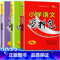 小升初资料包语数英[全套3本] 小学升初中 [正版]2022小升初资料包语文数学英语人教版小学小升初系统总复习语数英基础