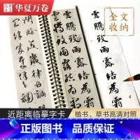 [正版][赠秀丽笔]智永真草千字文 楷书草书小楷临摹 穿环字卡125页毛笔临摹近距离临摹字卡楷书本毛笔书法成人初学者碑