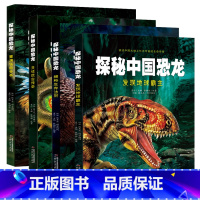 探秘中国恐龙[全套4册] [正版]探秘中国恐龙全套4册恐龙世界儿童百科全书重演猛兽竞争+见证远古传奇+发现地球霸主+揭秘