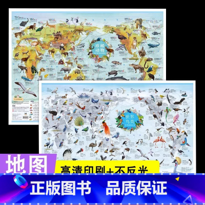 [正版]地图 世界鸟类-珍稀动物全2册 珍稀动物地图和世界鸟类地图挂图儿童房墙面装饰儿童地理地图墙贴