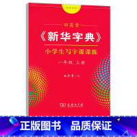 一年级上册 [正版]字典字帖小学生初中生写字课课练同步写字课一二三四五六七八九年级上册下册语文人教版楷书字帖行楷行书练字