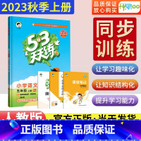 语文/人教版 五年级上 [正版]2023秋53天天练五年级上册语文人教版五三天天练 小学5年级上册语文同步训练练习册tt