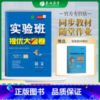 语文 八年级/初中二年级 [正版]2023春实验班提优大考卷八年级下册人教版语文初中同步测试卷期中期末达标练习全套讲解中