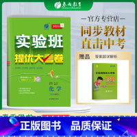 化学 九年级下 [正版]2023春实验班提优大考卷九年级下册化学沪教版初中同步测试卷期中期末达标练习全套讲解中学尖子生题