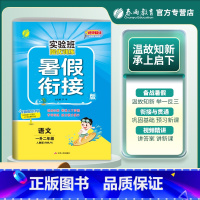 语文 小学一年级 [正版]2023秋实验班提优训练暑假衔接一升二年级语文人教版小学练习题假期训练1升2年级同步练习册暑假