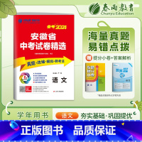 语文 安徽省 [正版]备考2024年安徽中考语文2023年安徽省历年真题试卷精选初中毕业总复习中考模拟试卷学霸必刷题春雨